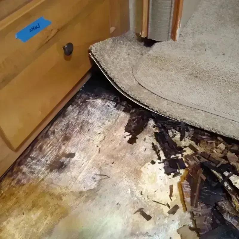 Wood Floor Water Damage in Watson, LA